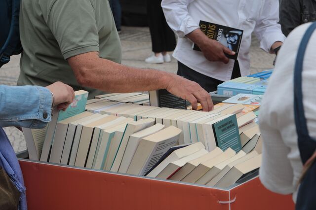 Queremos  mesmo ler livros politicamente corretos? 