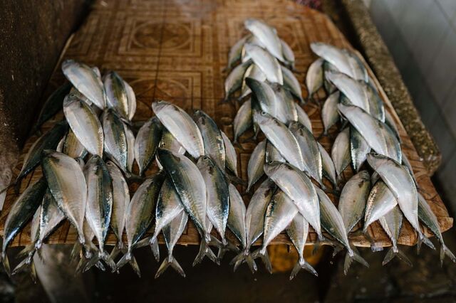 Primeira quinta que utiliza águas residuais para produção de alimentos nasce em Itália