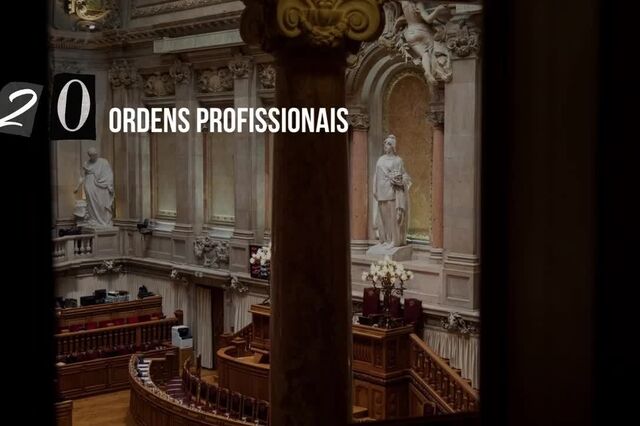 As 20 ordens profissionais e os seus novos estatutos
