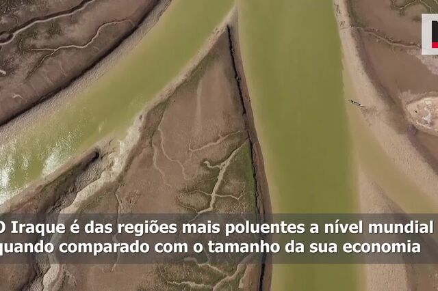 Iraque está a plantar quatro milhões de árvores para proteger o ambiente