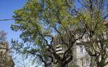 Guimarães promove partilha de boas práticas sustentáveis entre municípios