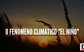 Explicador: O fenómeno “El Niño” e as consequências que vão além do calor