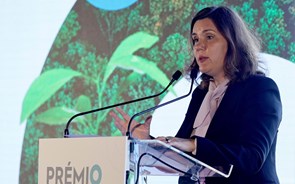 Prémio vai lançar os melhores projetos florestais