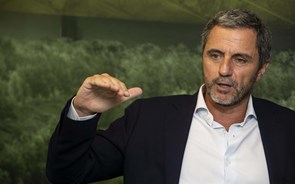 “Não estamos na corrida” pela compra da Deoleo, diz CEO da Sovena