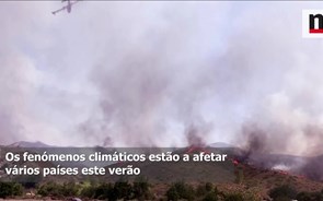 Verão no hemisfério norte: incêndios, calor, tempestades, cheias e um tufão