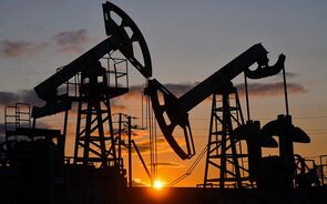 Petróleo interrompe ganhos