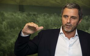 Jorge de Mello CEO Sovena