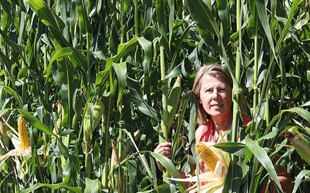 'A escassez de água é uma ameaça ao futuro da agricultura'