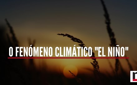 Explicador: O fenómeno “El Niño” e as consequências que vão além do calor