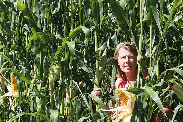 'A escassez de água é uma ameaça ao futuro da agricultura'