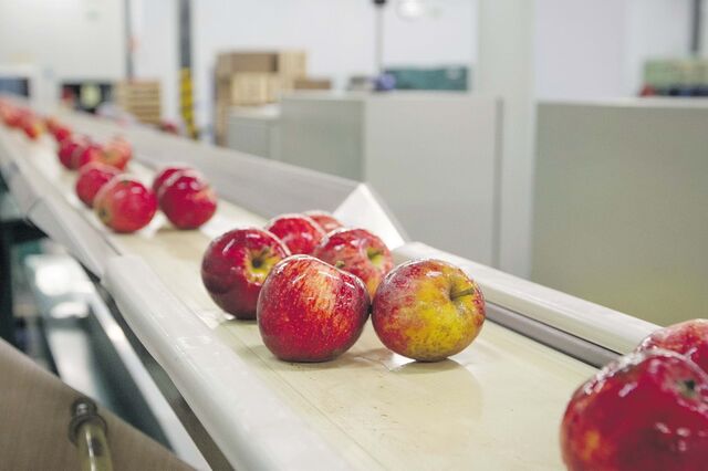 Fruta a saber a fruta 