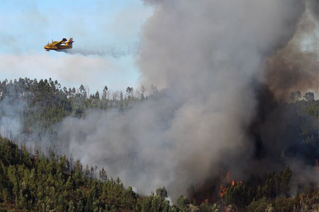 Frota contra incêndios na UE é transitória mas em dobro