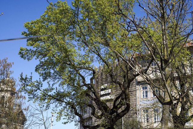 Quatro municípios portugueses na corrida pelo pódio da transição ecológica e digital