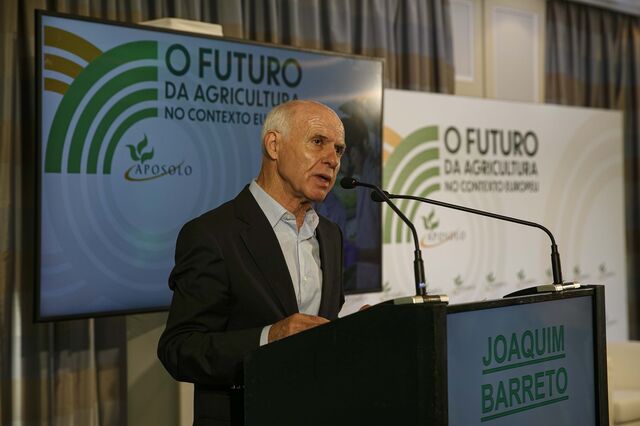 É preciso recuperar 'áreas abandonadas'
