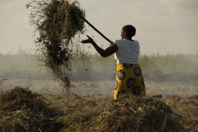 Angola e Banco Mundial assinam acordo para implementação do seguro agrícola no país