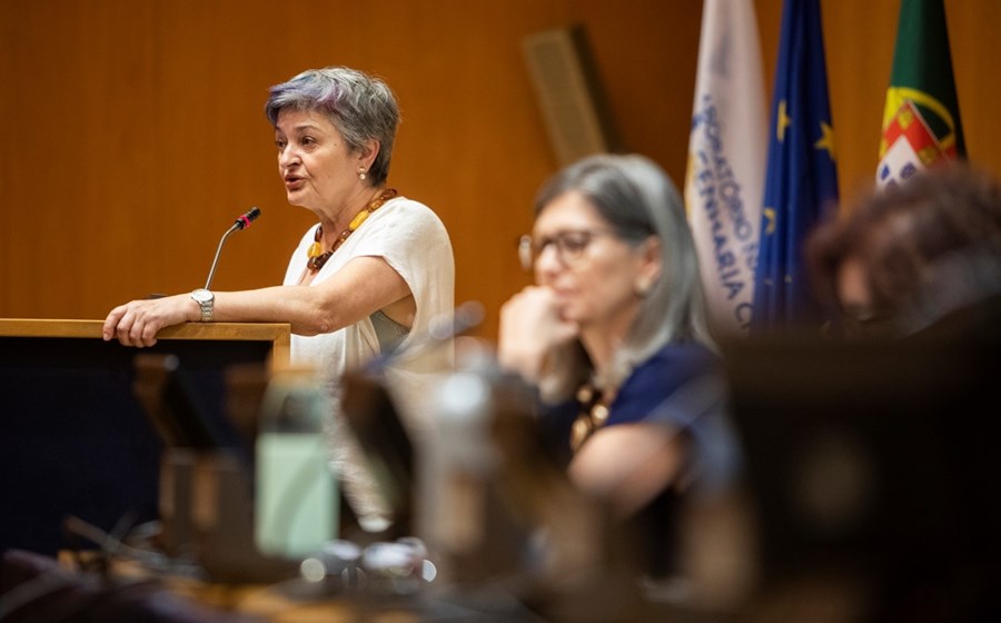 Rosário Partidário, coordenadora da comissão para o aeroporto, apresentou os cinco critérios de avaliação.