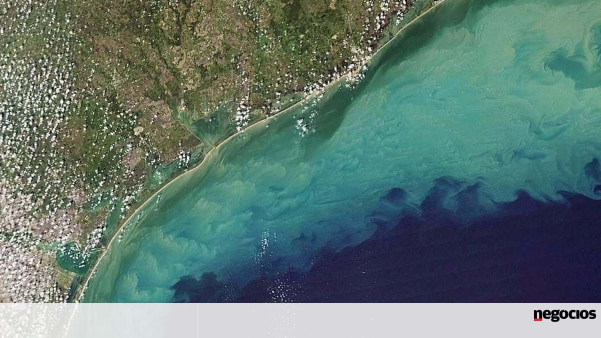 El sensor espacial vigilará la salud de los ecosistemas costeros