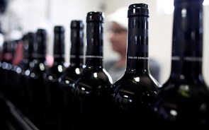 Portugal falha meta dos 1.000 milhões de exportações de vinho em 2023