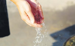 Redes de água estão 'envelhecidas' e municípios não investem na reabilitação, alerta ERSAR