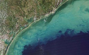 Sensor espacial vai monitorizar saúde dos ecossistemas costeiros