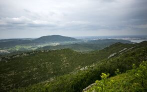 terrenos
