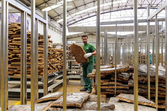 Corticeira Amorim paga dividendo a 28 de maio