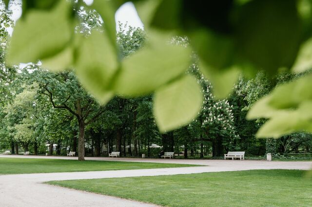 Maioria das soluções baseadas na natureza para combater alterações climáticas são aplicadas na Europa