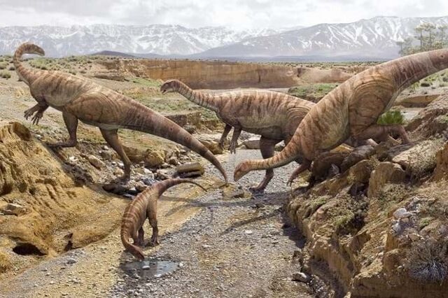 Dino Parque recebe fósseis do mais antigo dinossauro da Europa com 200 milhões de anos