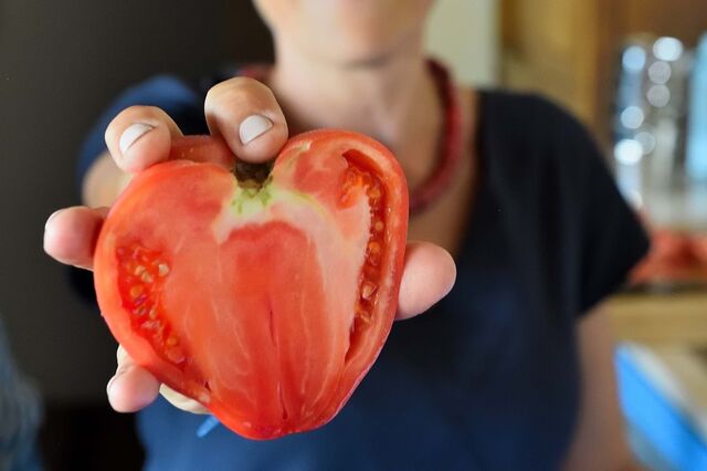 Bife de fruta a concurso no Douro 