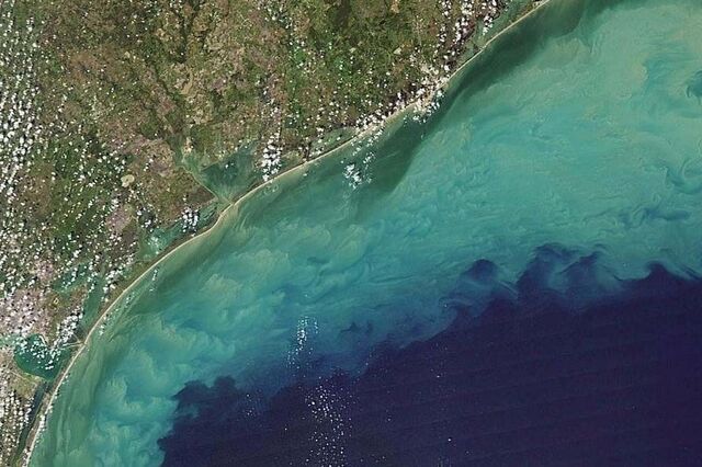 Sensor espacial vai monitorizar saúde dos ecossistemas costeiros