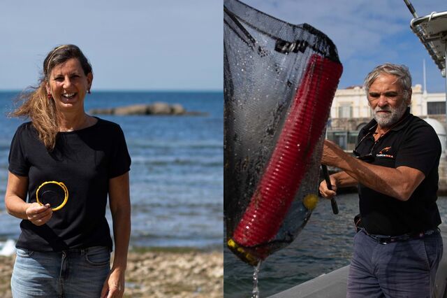A vida dos “beachcombers” é um mar de surpresas