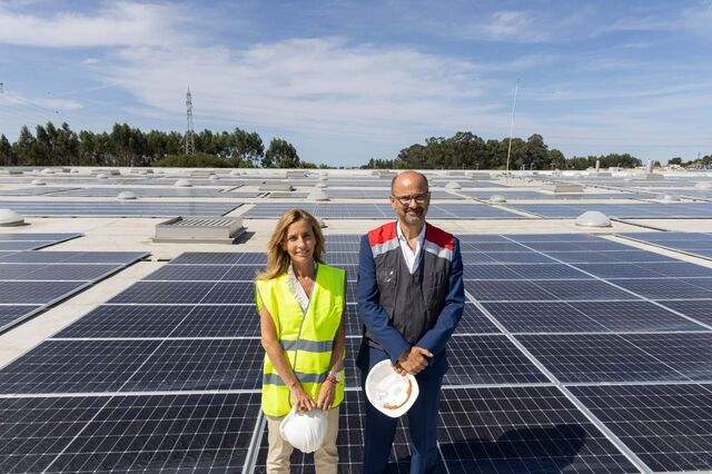 CTT e EDP estreiam central solar que vai partilhar energia com 850 famílias e empresas