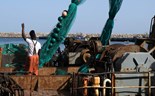 A vida bruta da pesca ameaça Sesimbra, a “capital” do peixe