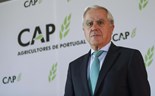 CAP exige ao Governo que proteja fileira do vinho face a guerra de tarifas