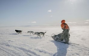 Fjällräven Polar, a famosa expedição ao Ártico está de regresso em 2024