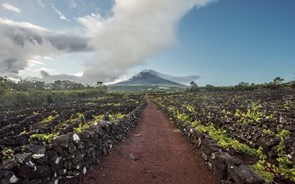 Governo dos Açores reconhece necessidade de combater sazonalidade do turismo