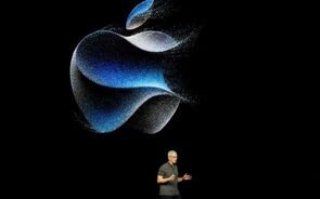 apple, tim cook