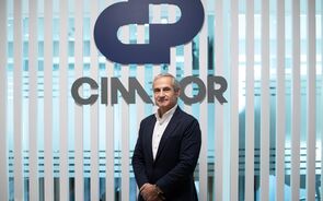Luís Fernandes, Cimpor