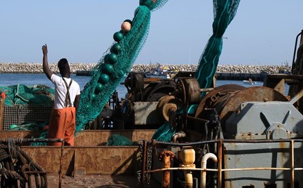 A vida bruta da pesca ameaça Sesimbra, a “capital” do peixe