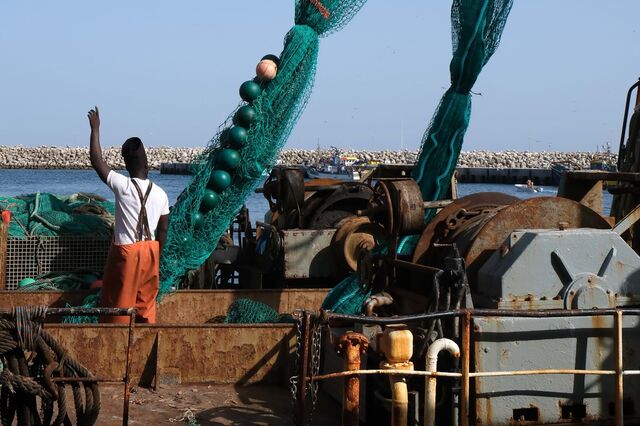 A vida bruta da pesca ameaça Sesimbra, a “capital” do peixe
