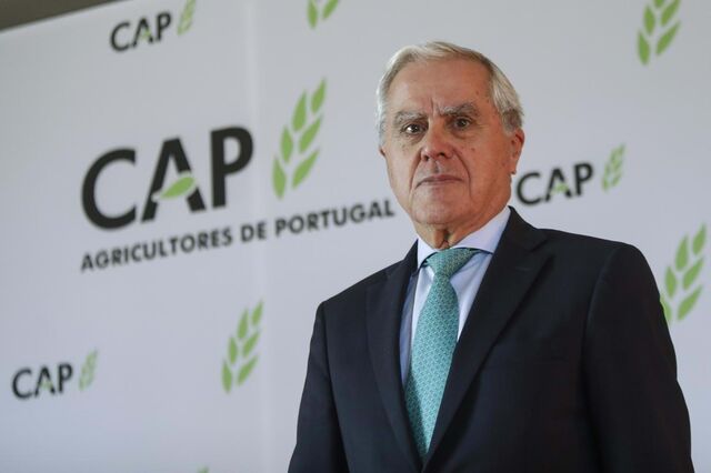 IVA zero: “É óbvio que são precisos apoios à produção”, afirma presidente da CAP