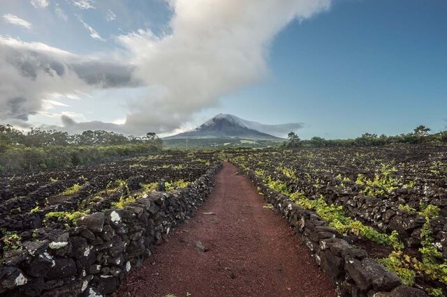 Governo dos Açores reconhece necessidade de combater sazonalidade do turismo