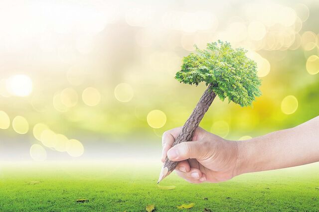 Sustentabilidade pesa cada vez mais no carrinho de compras dos portugueses