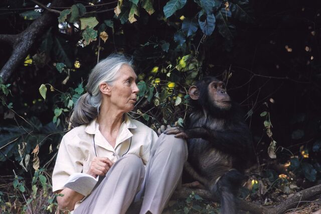 A origem da guerra e os titãs da História