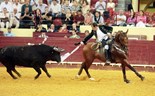 Paragrafino Pescada entra a trote na tauromaquia sentimental e acaba em decotes