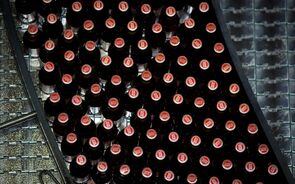 Super Bock