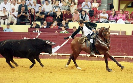 Paragrafino Pescada entra a trote na tauromaquia sentimental e acaba em decotes