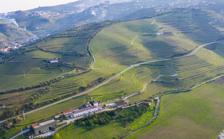 Franceses compram quinta no Douro que maravilhou Ramalho Ortigão 