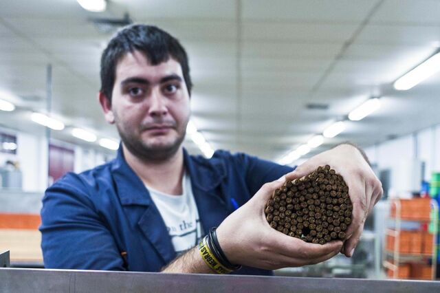 Fábrica de Tabaco Micaelense alerta para 'efeito devastador' da tributação sobre cigarrilhas