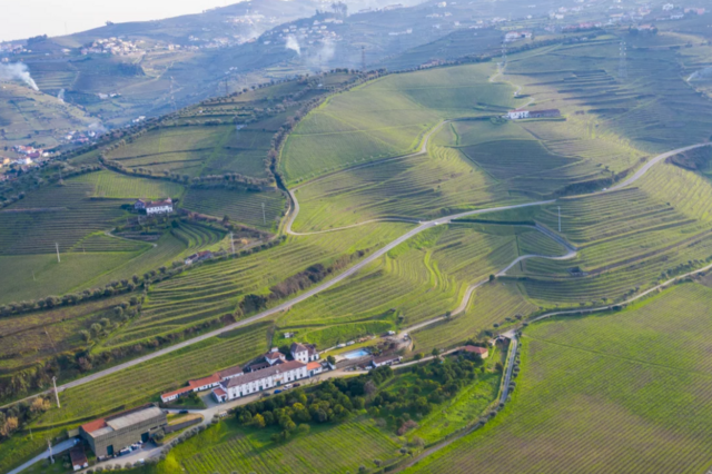 Franceses compram quinta no Douro que maravilhou Ramalho Ortigão 